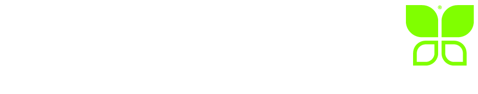 Active Life